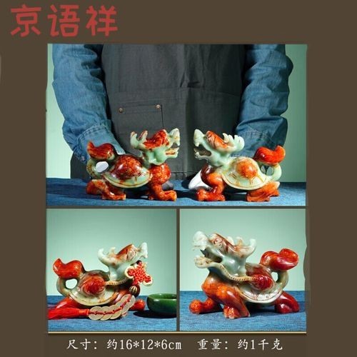 龍龜的市場價格如何？