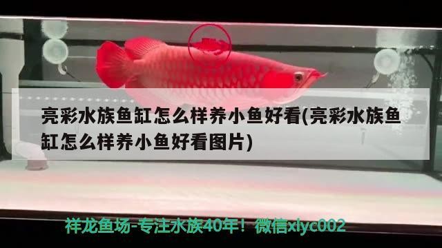 天鎮縣谷前堡鎮天祥觀賞魚養殖場（天鎮縣谷前堡鎮天祥觀賞魚養殖場電話）