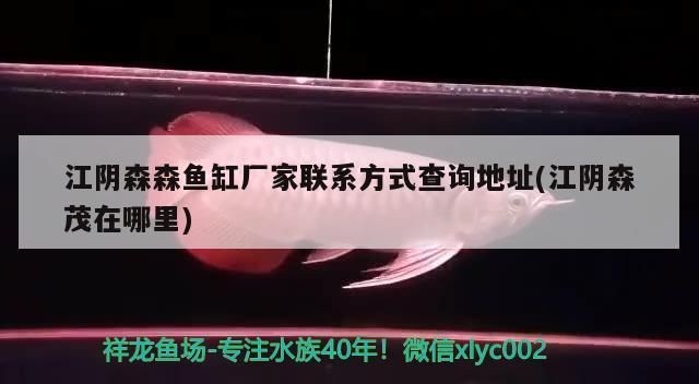 森森魚缸廠家聯系電話