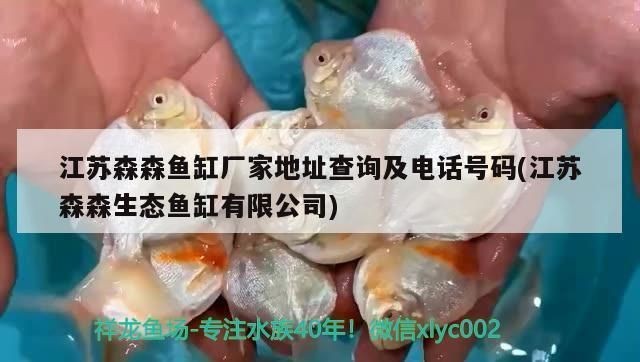 森森魚缸廠家聯系電話