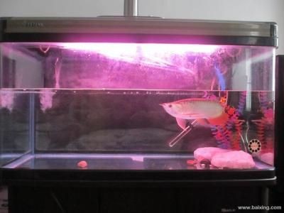 九星魚缸R6810B視頻安裝：九龍星水族r6810b安裝過程
