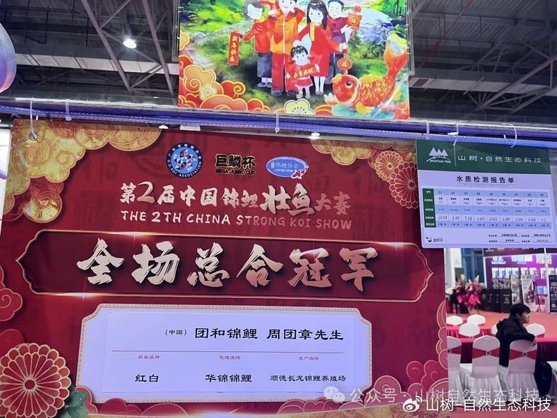 世界錦鯉大賽有哪些歷史冠軍？