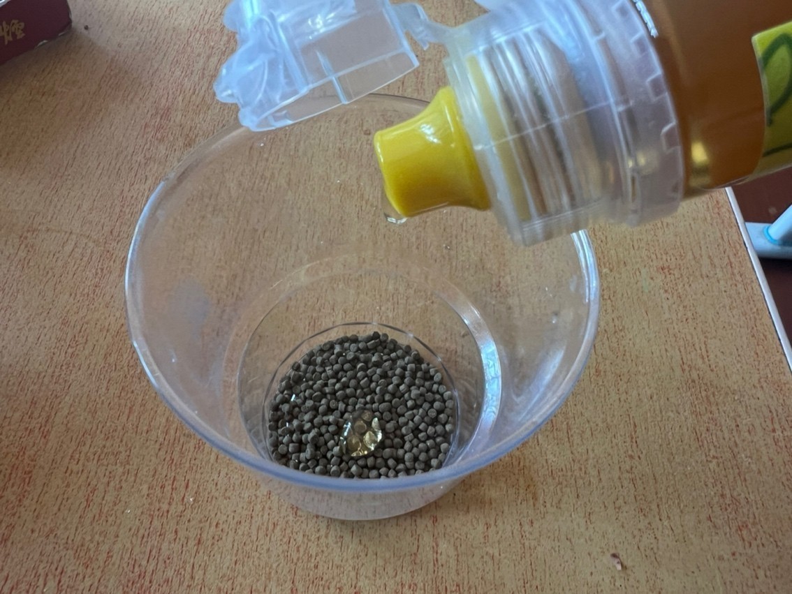 錦鯉伙食飯 錦鯉伙食飯 龍魚論壇 第3張