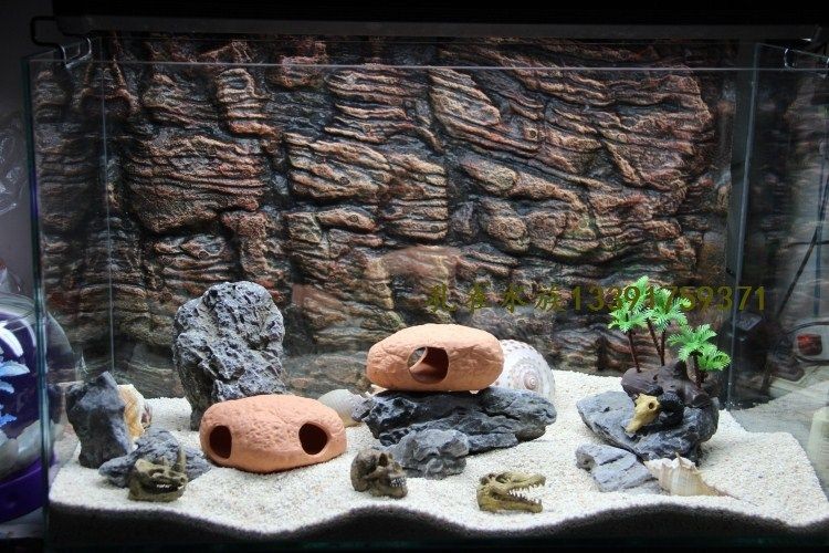 紅磚塊適合放入魚缸生態系統的魚缸生態系統的構建與造景：紅磚塊是否適合放入魚缸中