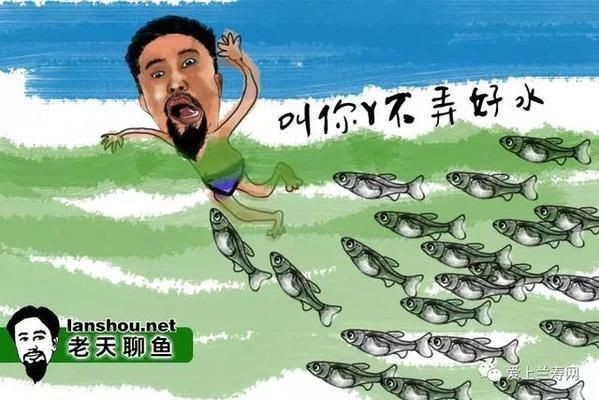 如何改善大白鯊魚苗的水質，大白鯊魚苗的水質對其健康和成長至關重要