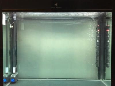 可麗愛魚缸型號與價格(1米長)（可麗愛魚缸型號與價格）
