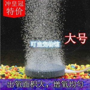 皇冠魚缸的養(yǎng)護(hù)技巧：如何打造皇冠魚缸