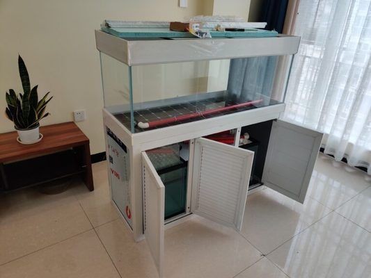 魚缸好的夸贊：魚缸設計如何提升家居品味 魚缸好的夸贊：魚缸設計如何提升家居品味 魚缸百科 第1張