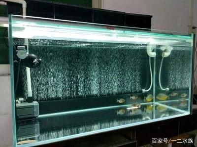 魚缸好的夸贊：魚缸設計如何提升家居品味 魚缸好的夸贊：魚缸設計如何提升家居品味 魚缸百科 第5張