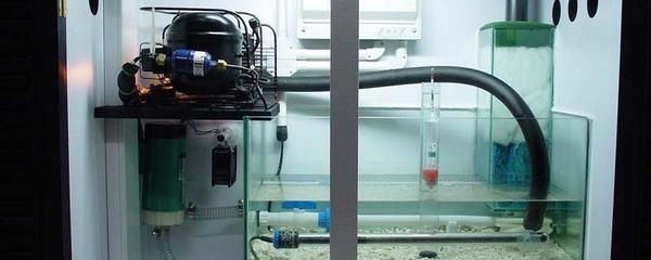 魚缸溢流管的拆卸方法可以根據溢流管的材質和連接方式來進行：底濾魚缸溢流管的拆卸方法 魚缸溢流管的拆卸方法可以根據溢流管的材質和連接方式來進行：底濾魚缸溢流管的拆卸方法 魚缸百科 第3張