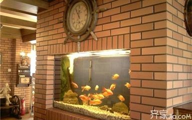 店鋪魚缸的風水設計：店鋪魚缸擺放位置對于店鋪的風水和財運有著重要的影響 店鋪魚缸的風水設計：店鋪魚缸擺放位置對于店鋪的風水和財運有著重要的影響 魚缸百科 第1張