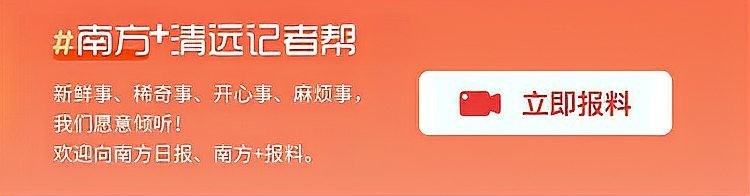 清遠唐氏在比賽中表現如何？