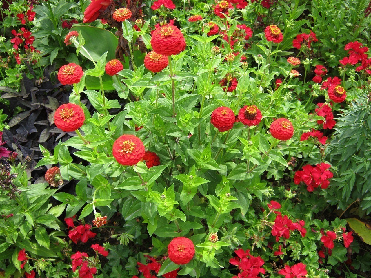 沈陽花卉博覽中心有限公司（沈陽花卉博覽中心有限公司招聘）