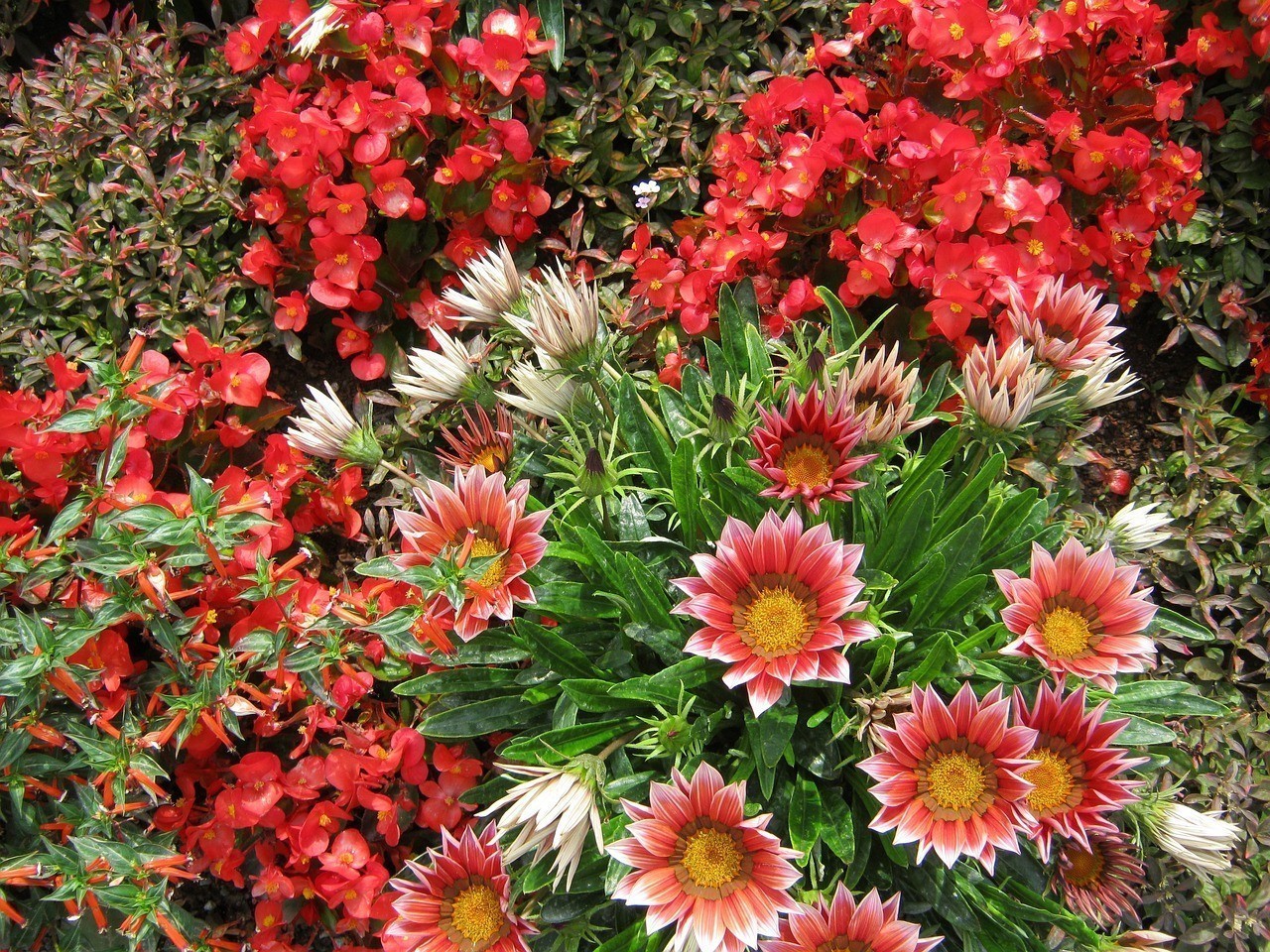 沈陽花卉博覽中心有限公司（沈陽花卉博覽中心有限公司招聘）
