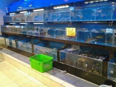 剛買回來的魚缸用什么消毒最好（高錳酸鉀和高錳酸鉀消毒的區別）