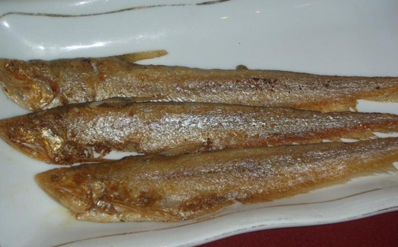 淡水刀魚圖片大全真實 淡水刀魚圖片大全真實 龍魚論壇 第25張