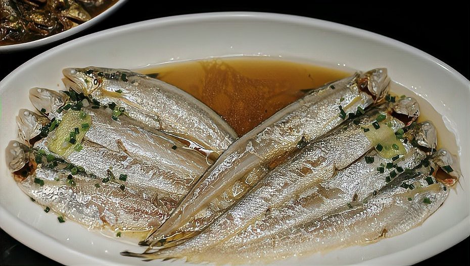 淡水刀魚圖片大全真實 淡水刀魚圖片大全真實 龍魚論壇 第30張