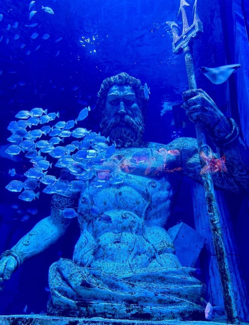 廣東水族展有哪些特色展區？