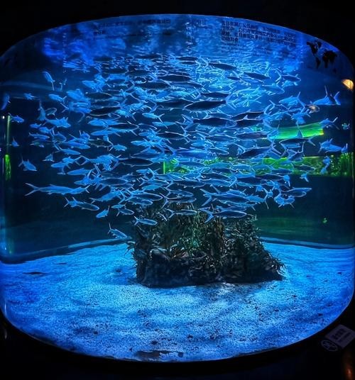廣東水族展有哪些特色展區？