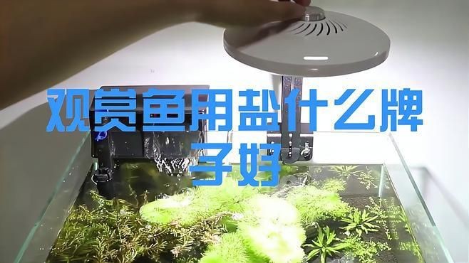 觀賞魚專用鹽哪個品牌好
