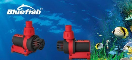 魚缸過濾器 品牌：2024年魚缸過濾器十大品牌排行榜