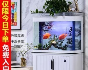 江彩生態魚缸怎么樣啊：江彩生態魚缸怎么樣？