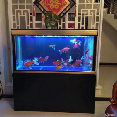 魚缸過濾器選擇指南：魚缸過濾器常見故障及解決魚缸過濾器常見故障及解決