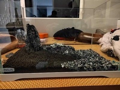 森森魚缸官方網站（森森魚缸怎么樣）