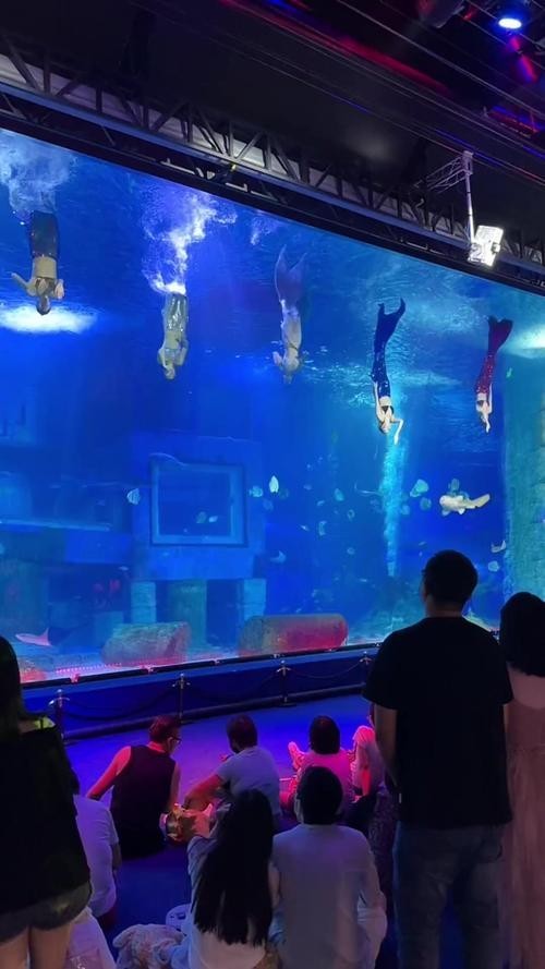 廣東水族展2025