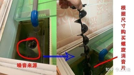 魚缸周圍環境噪音控制技巧：魚缸周圍環境噪音控制的技巧