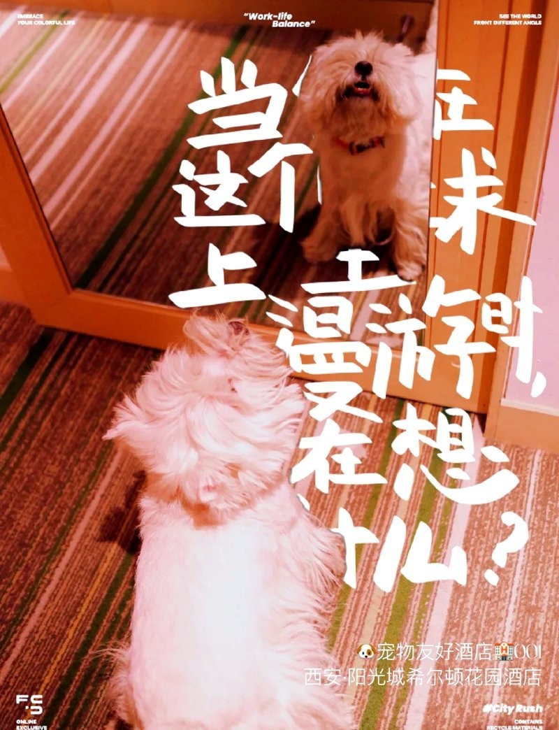 水長城附近有哪些推薦的寵物友好酒店？