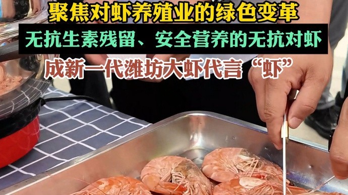 濰坊市海漁局舉辦無抗活蝦推介活動