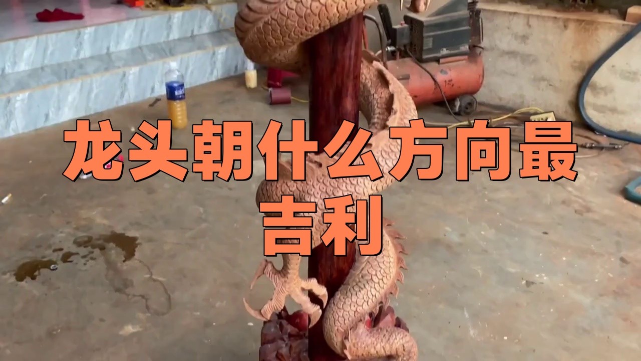 龍頭最吉利的三個地方 龍頭最吉利的三個地方 龍魚論壇 第5張