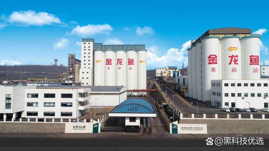 金龍魚加盟店