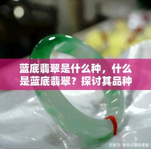 藍底和金底哪個更稀有？