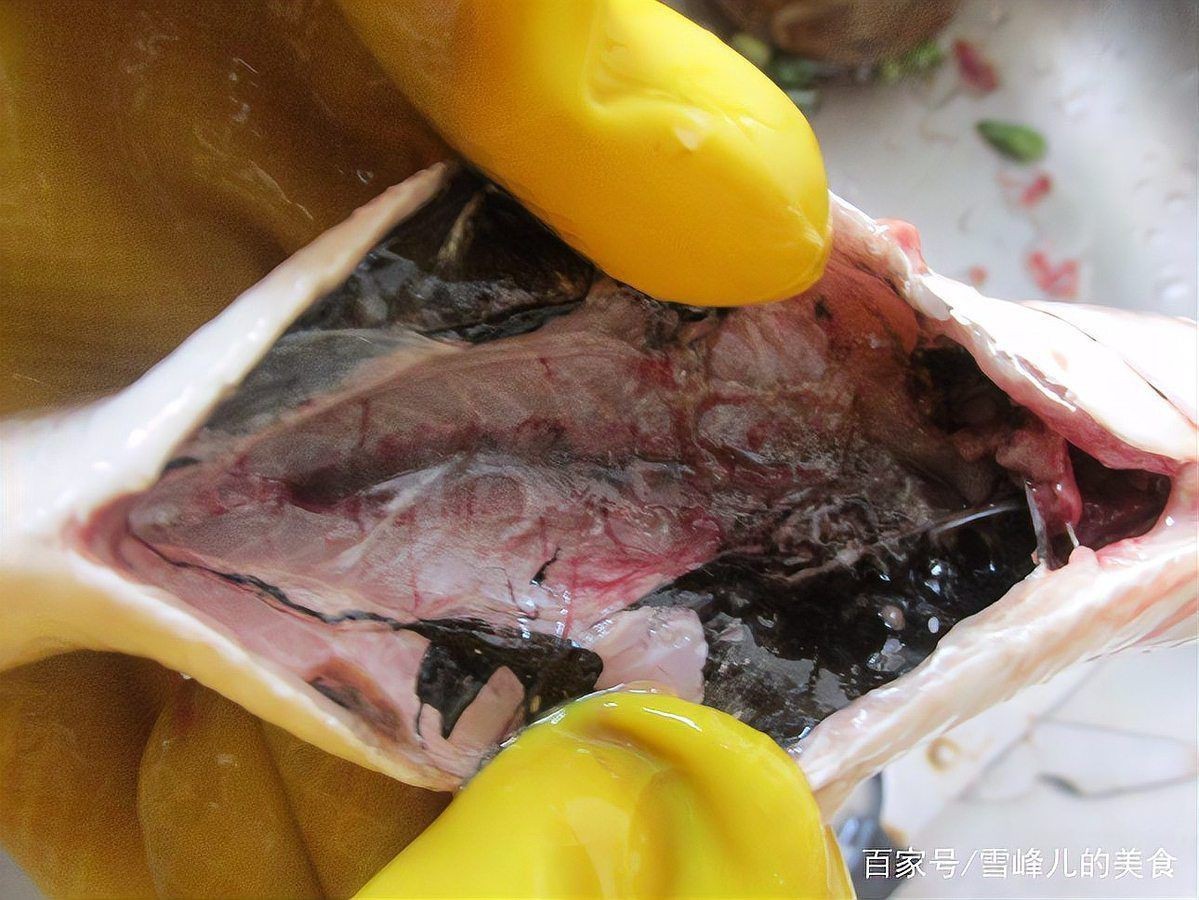 給孩子做魚湯用什么魚