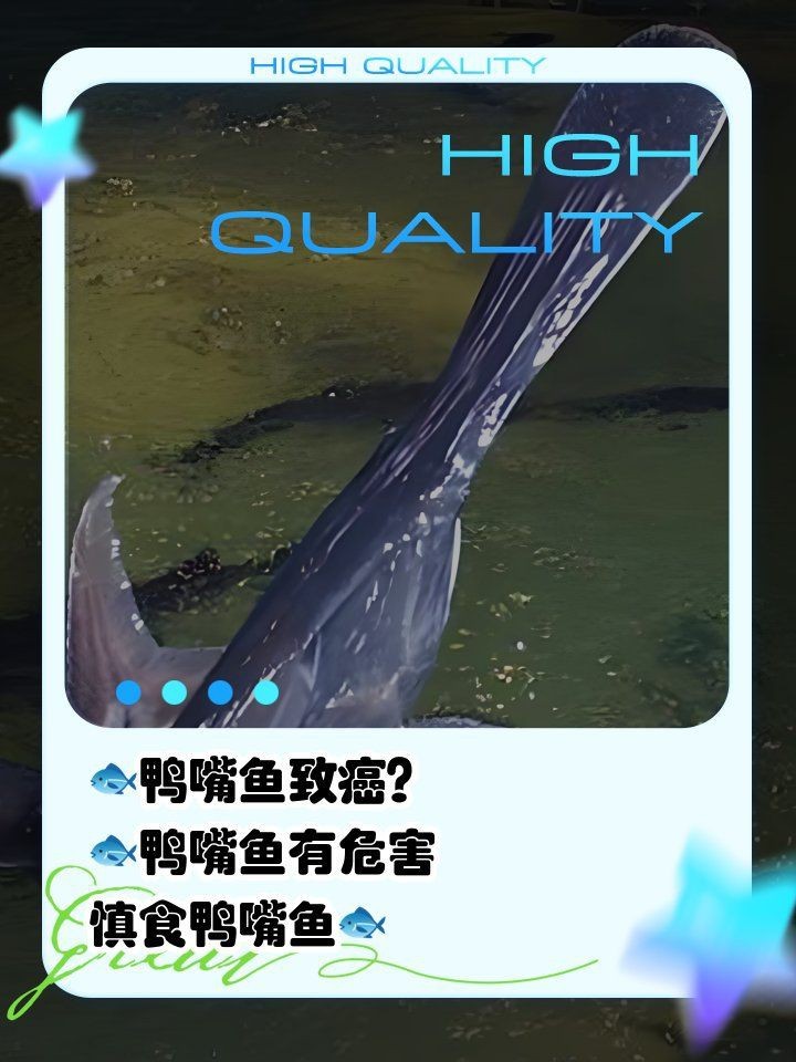 虎紋鴨嘴鯊魚可以吃嗎