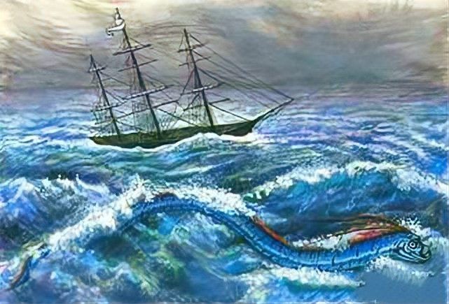 龍王魚俗稱什么魚