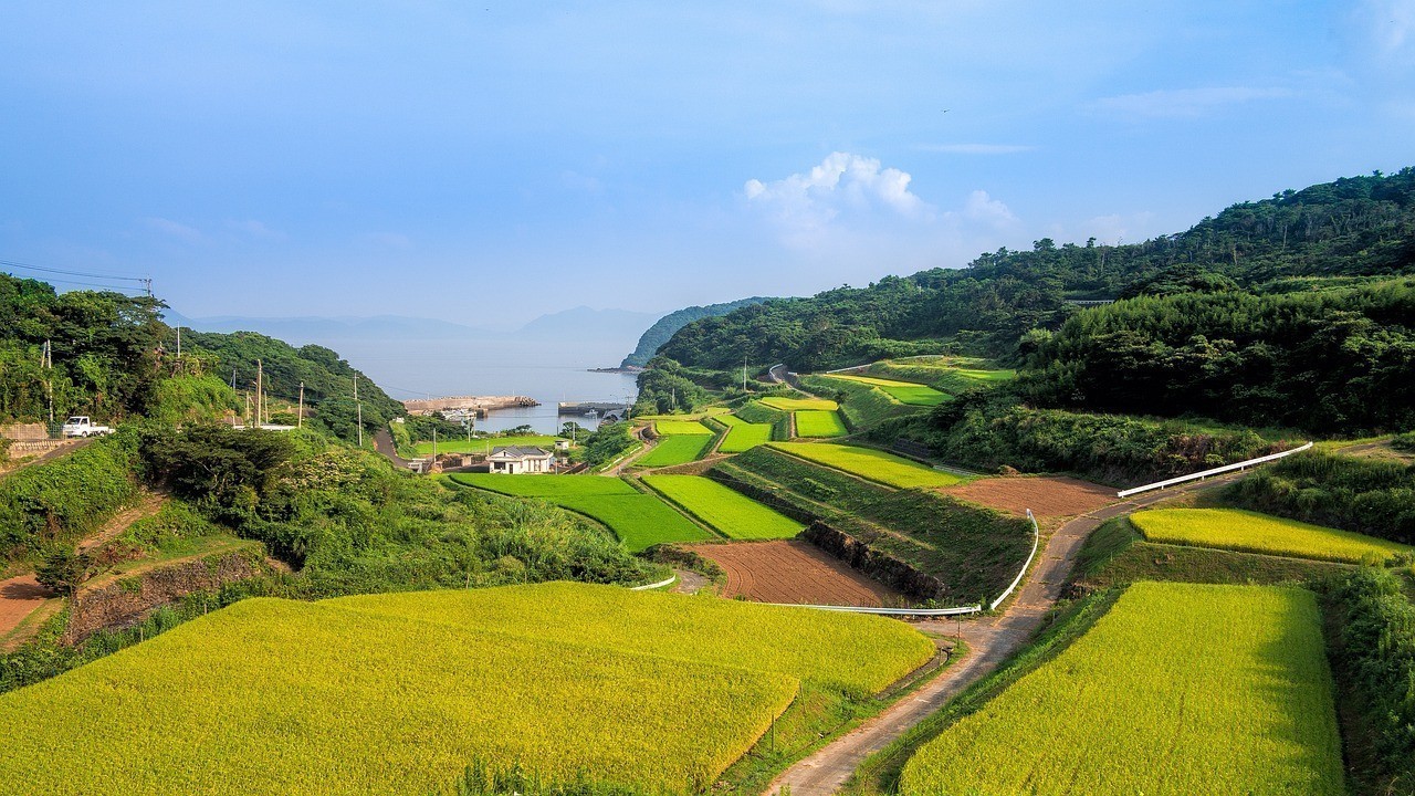 荔波九龍溪鄉村旅游有限公司