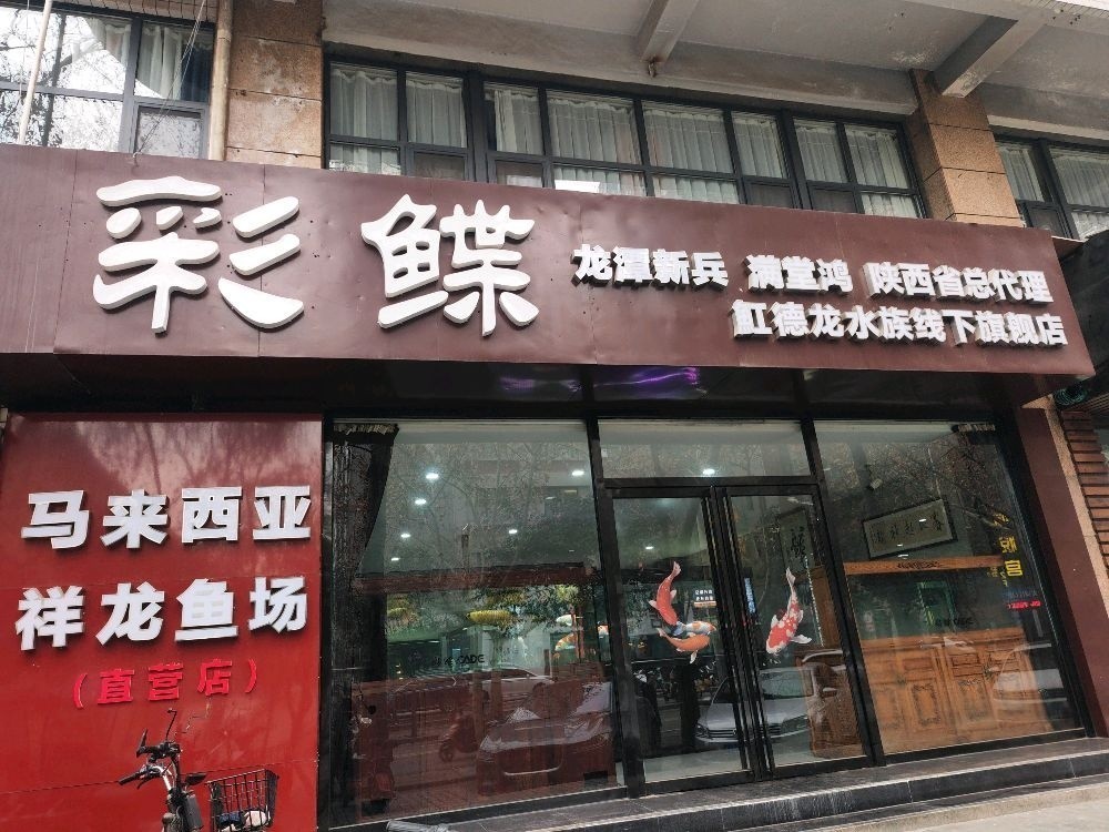 如何聯(lián)系到皇宮龍魚漁場？