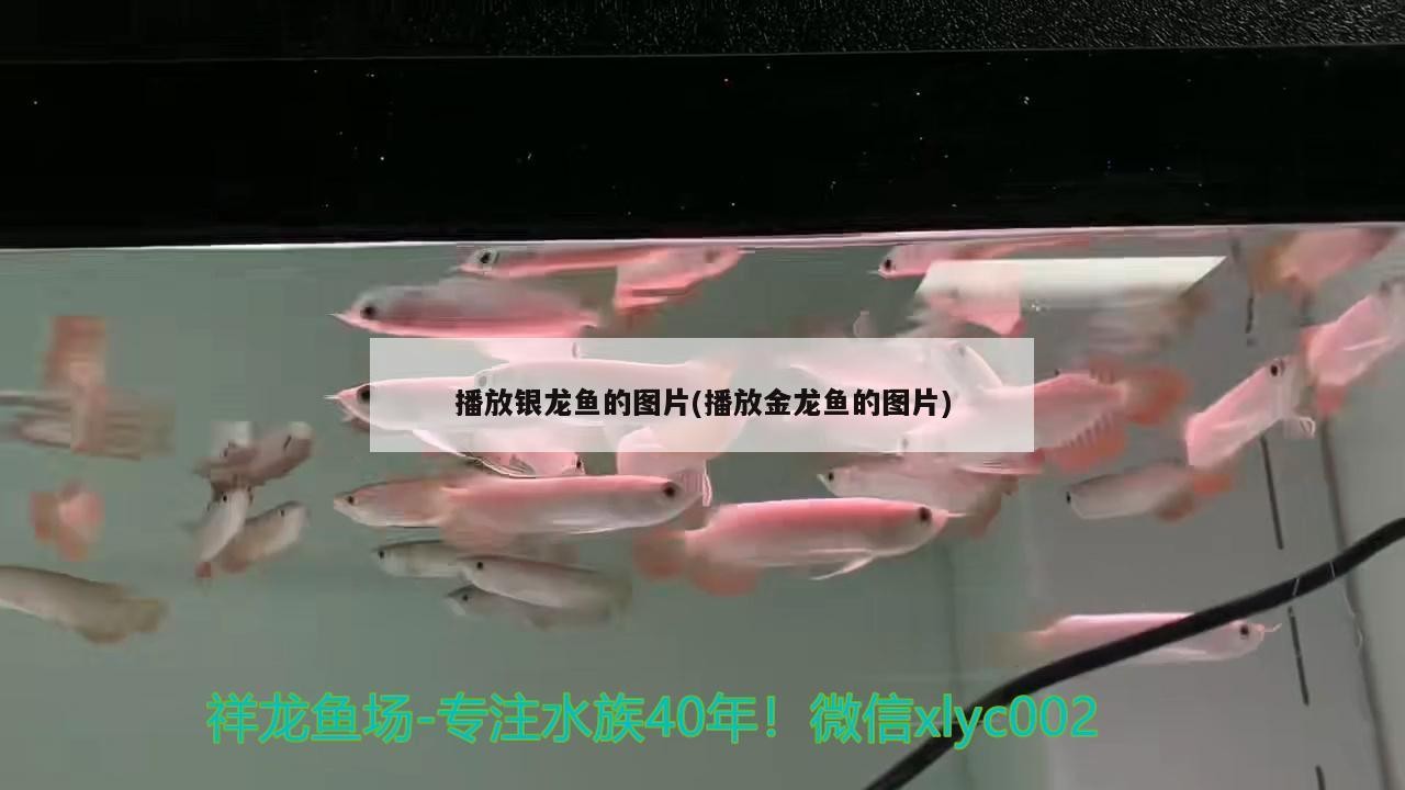 經濟開發區家家香鮮肉經銷店 全國水族館企業名錄 第1張 經濟開發區家家香鮮肉經銷店 經濟開發區家家香鮮肉經銷店 全國水族館企業名錄 第1張