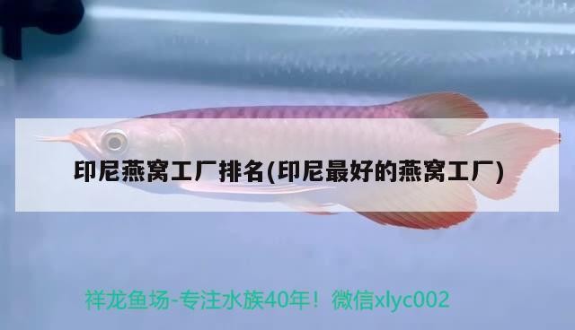 銀龍魚養了四年的銀龍魚被做成清蒸魚，其口味與普通魚有何不同？，養了四年的銀龍魚被做成清蒸魚，其口味與普通魚有何不同？