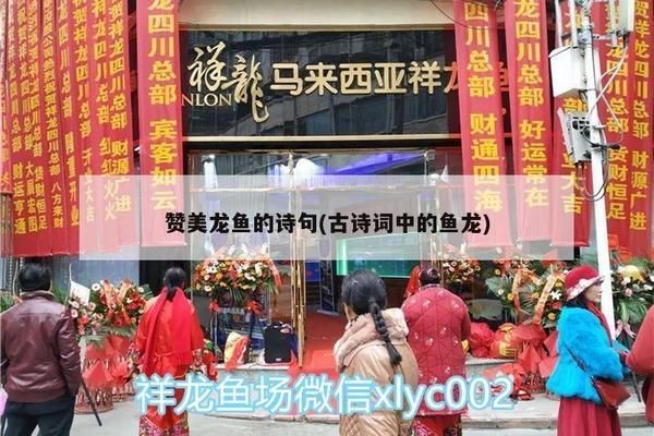 龍魚服李白：龍魚服李白現(xiàn)象在現(xiàn)代社會(huì)的表現(xiàn)形式和傳播路徑以及傳播路徑