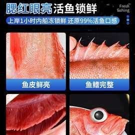 有哪些常見的金龍魚苗疾病,貓與龍貓共養需要多長時間磨合貓與龍貓共養的成功案例分享 龍魚百科 第2張 有哪些常見的金龍魚苗疾病,貓與龍貓共養需要多長時間磨合貓與龍貓共養的成功案例分享 有哪些常見的金龍魚苗疾病,貓與龍貓共養需要多長時間磨合貓與龍貓共養的成功案例分享 龍魚百科 第2張
