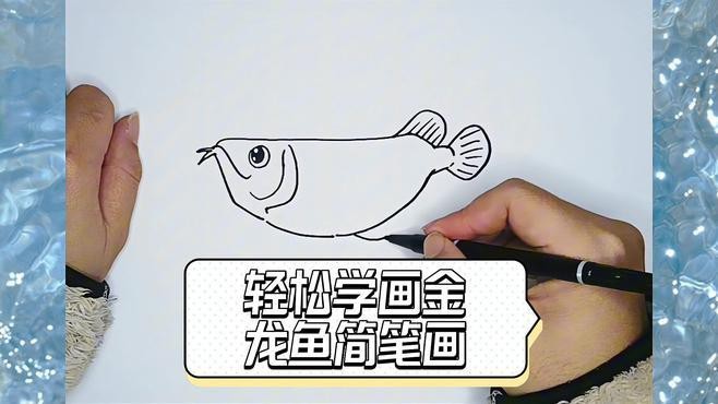 畫金龍魚需要多長時間練習？ 畫金龍魚需要多長時間練習？ 龍魚百科 第1張
