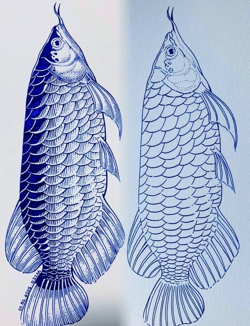 畫金龍魚需要多長時間練習？ 畫金龍魚需要多長時間練習？ 龍魚百科 第3張