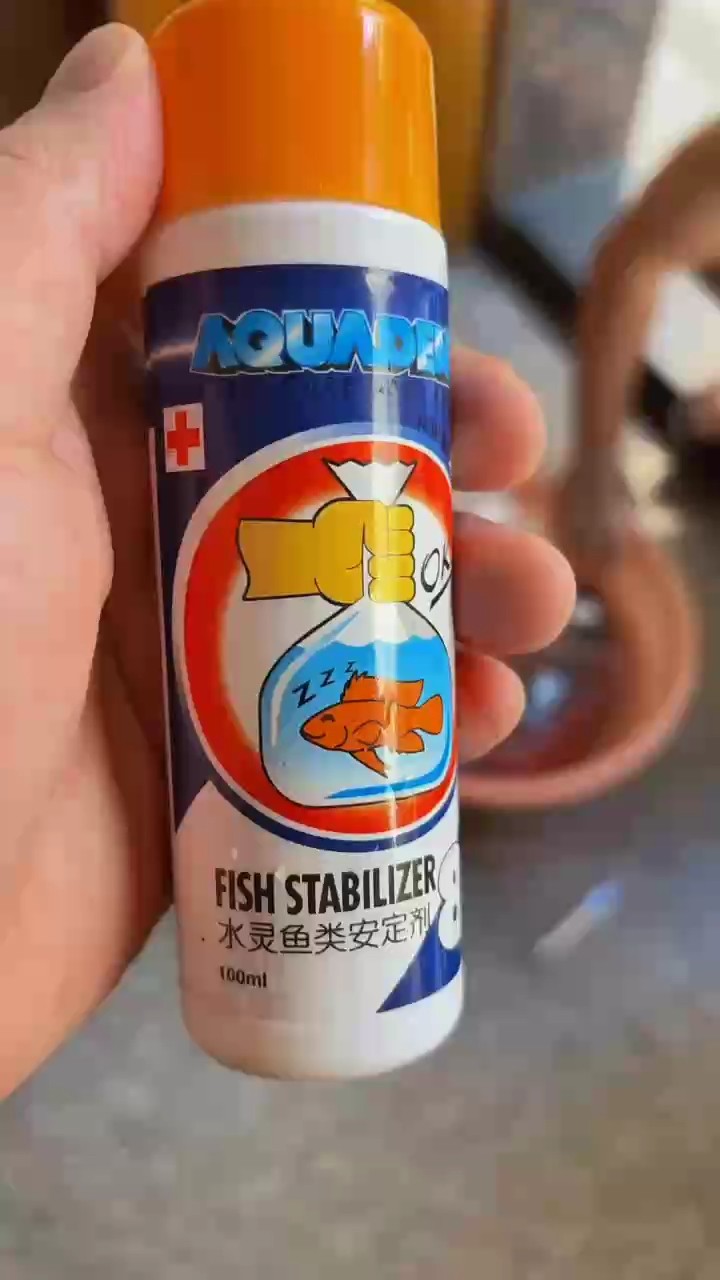 魚缸批發市場，宜賓魚缸批發市場