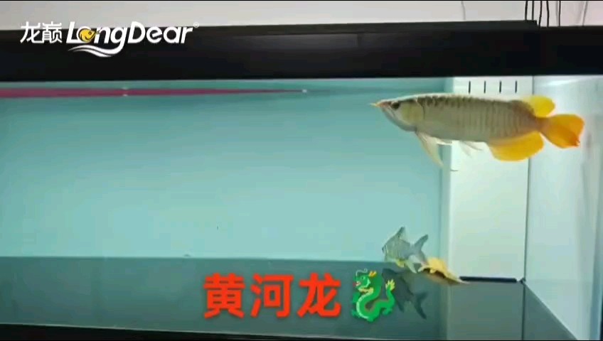 轉發852