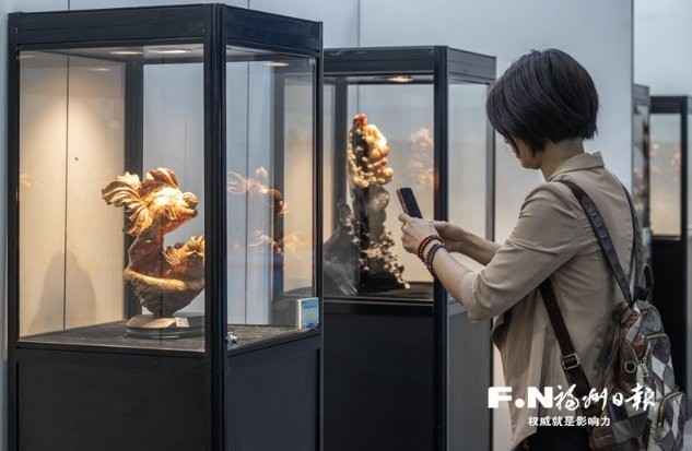 閩侯金魚在此次大賽中的其他獲獎情況