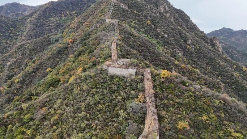 第五屆全國長城杯有哪些亮點 第五屆全國長城杯有哪些亮點 2025長城杯龍魚大賽 第3張
